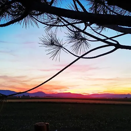 L'Auberge Syra - Gites Alsace - Proche Europapark 아파트