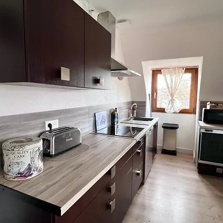 Διαμέρισμα L'auberge Syra - Alsace - Proche Europapark *